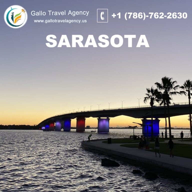 excursiones a sarasota desde Miami