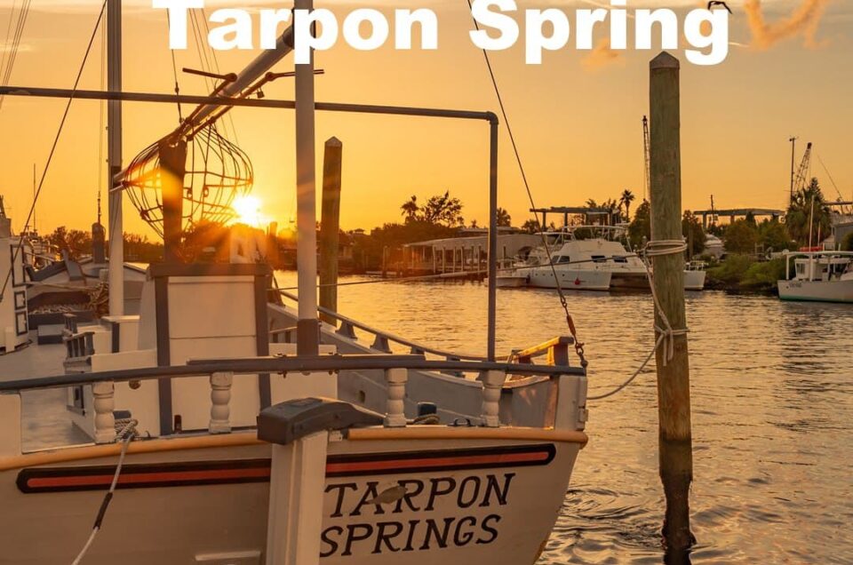 cosas que hacer en tarpon springs