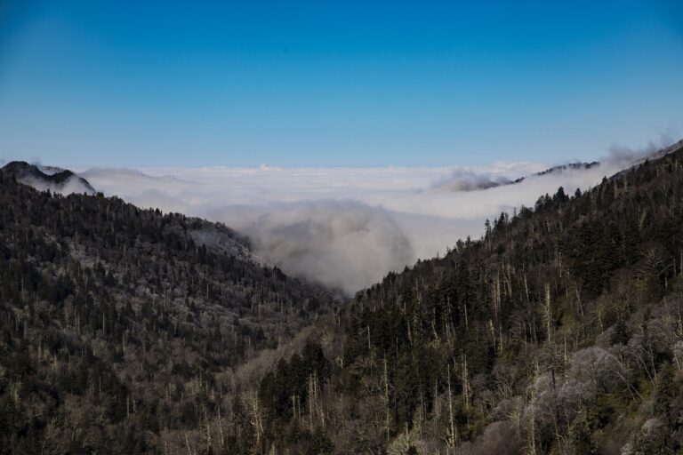 viaje a Smokey Mountains desde Miami  